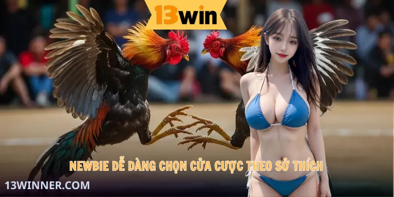 Newbie dễ dàng chọn cửa cược theo sở thích