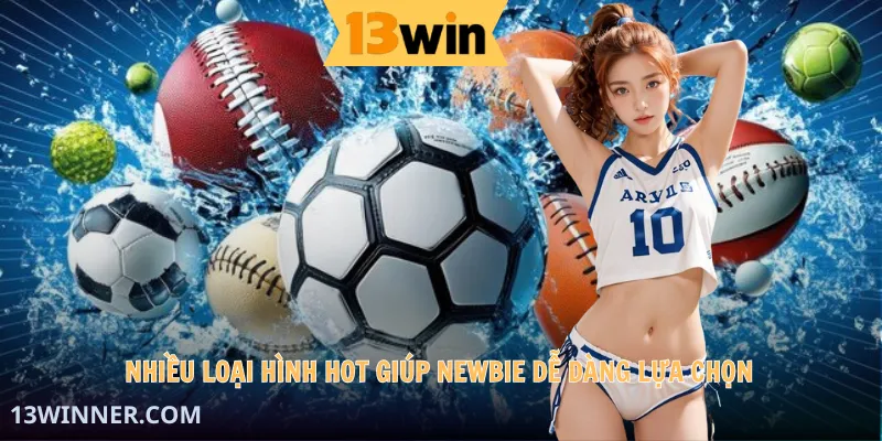Nhiều loại hình hot giúp newbie dễ dàng lựa chọn